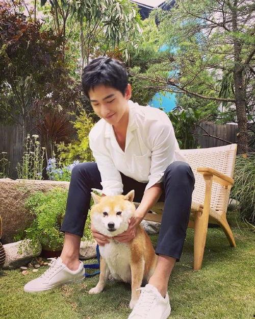 杨洋爆料视频最新消息,娱乐圈幕后真相大曝光 第3张 杨洋爆料视频最新消息,娱乐圈幕后真相大曝光 第3张