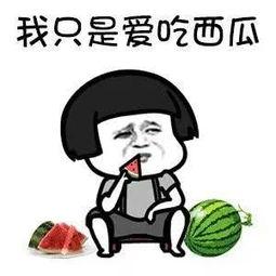 娱乐吃瓜的本质是什么,一场全民参与的狂欢盛宴 第3张 娱乐吃瓜的本质是什么,一场全民参与的狂欢盛宴 第3张