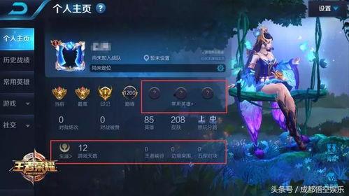 王者爆料兄弟怎么办啊视频,兄弟如何应对新版本挑战